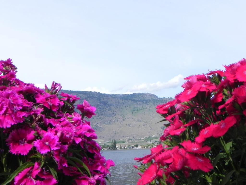 Destiny Beach Resort Osoyoos Εξωτερικό φωτογραφία